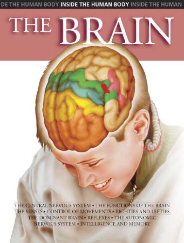 9780791090145: The Brain