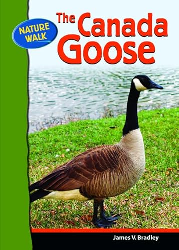 Beispielbild fr The Canada Goose zum Verkauf von Better World Books