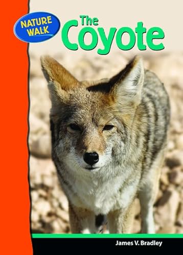 Beispielbild fr The Coyote zum Verkauf von Better World Books