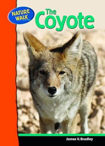 9780791091142: The Coyote (Nature Walk)