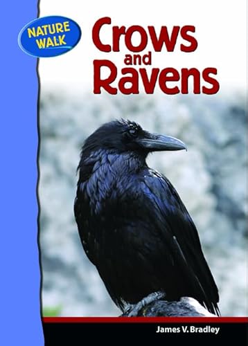 Beispielbild fr Ravens and Crows zum Verkauf von Better World Books