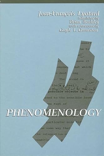 9780791408056: Phenomenology (Suny Series in Contemporary Continental Philosophy)