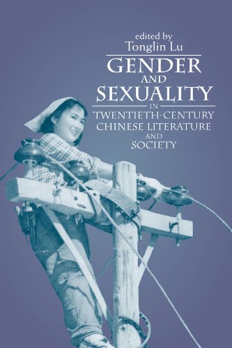 Stock image for Gender and Sexuality in Twentieth-Century Chinese Literature and Society (Suny Series in Feminist Criticism and Theory) for sale by HPB-Red