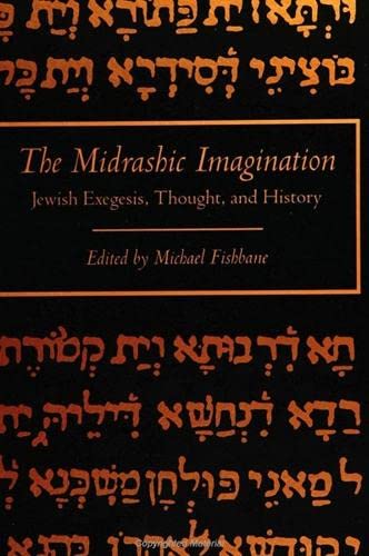 9780791415214: The Midrashic Imagination: Jewish Exegesis, Thought, and History