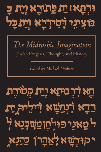 Imagen de archivo de The Midrashic Imagination: Jewish Exegesis, Thought, and History. a la venta por Henry Hollander, Bookseller