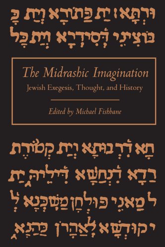 Stock image for The Midrashic Imagination: Jewish Exegesis, Thought, and History. for sale by Henry Hollander, Bookseller