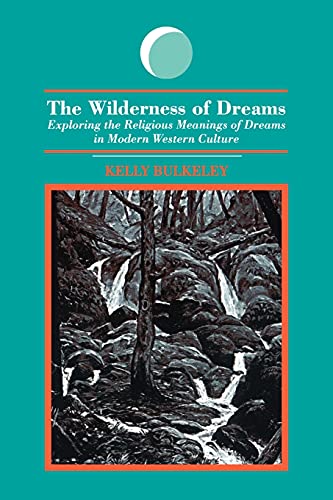 Stock image for The Wilderness of Dreams: Exploring the Religious Meanings of Dreams in Modern Western Culture (S U N Y Series in Dream Studies) for sale by HPB-Movies