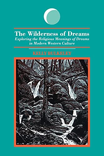 The Wilderness of Dreams: Exploring the Religious Meanings of Dreams in Modern Western Culture (S U N Y Series in Dream Studies) (9780791417461) by Bulkeley, Kelly