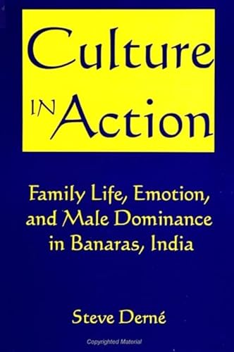 9780791424261: Culture in Action: Family Life, Emotion, & Male Dominance in Banaras,