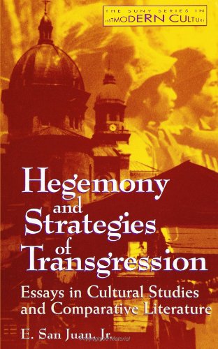 Beispielbild fr HEGEMONY AND STRATEGIES OF TRANSGRESSION: Essays in Cultural Studies and Comparative Literature. zum Verkauf von Nelson & Nelson, Booksellers