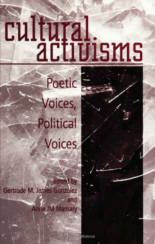 Stock image for Cultural Activisms: Poetic Voices, Political Voices for sale by Book House in Dinkytown, IOBA