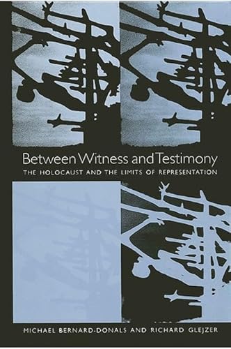 Imagen de archivo de Between Witness and Testimony: The Holocaust and the Limits of Representation a la venta por Stony Hill Books