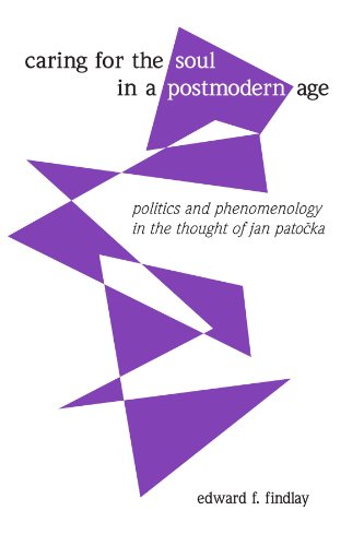 Stock image for Caring for the Soul in a Postmodern Age: Politics and Phenomenology in the Thought of Jan Patocka for sale by Books From California