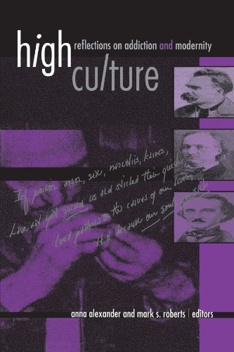 Stock image for High Culture: Reflections on Addiction and Modernity (Suny Series in Postmodern Culture) (Suny Series, Hot Topics) for sale by Books From California