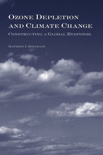 Imagen de archivo de Ozone Depletion And Climate Change: Constructing A Global Response (Suny Series in Global Politics) (Suny Global Politics) a la venta por Wonder Book