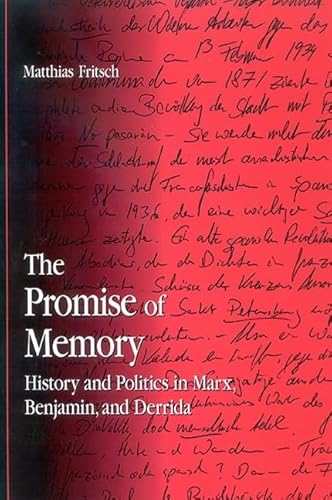 9780791465493: The Promise Of Memory: History And Politics In Marx, Benjamin, And Derrida (Suny Series in Contemporary Continental Philosophy)