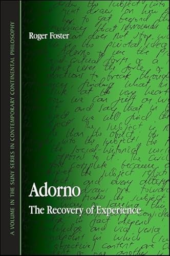 9780791472095: Adorno: The Recovery of Experience (SUNY series in Contemporary Continental Philosophy)