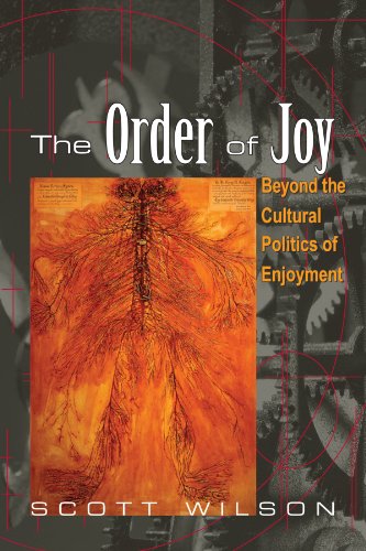 Stock image for The Order of Joy: Beyond the Cultural Politics of Enjoyment (Psychoanalysis and Culture) (Suny Psychoanalysis and Culture) for sale by BooksRun