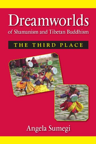 Beispielbild fr Dreamworlds of Shamanism and Tibetan Buddhism: The Third Place zum Verkauf von Books From California