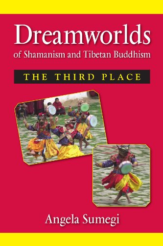 Imagen de archivo de Dreamworlds of Shamanism and Tibetan Buddhism: The Third Place a la venta por Inquiring Minds