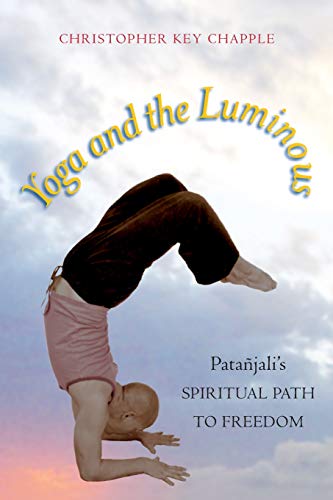 Imagen de archivo de Yoga and the Luminous: Patañjali's Spiritual Path to Freedom a la venta por Reliant Bookstore