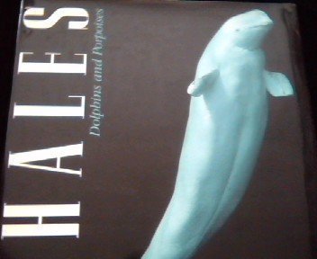 Stock image for Whales, Dolphins, and Porpoises for sale by Half Price Books Inc.
