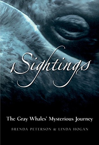 9780792241027: Sightings: The Gray Whales' Mysterious Journey (Adventure Press)
