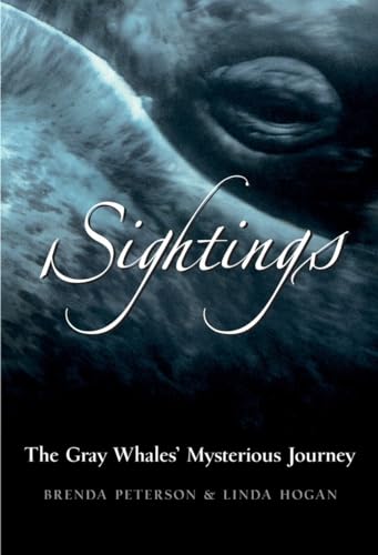 Stock image for Sightings: The Gray Whales' Mysterious Journey for sale by SecondSale