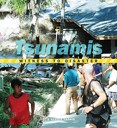 Beispielbild fr Witness to Disaster: Tsunamis zum Verkauf von Books From California