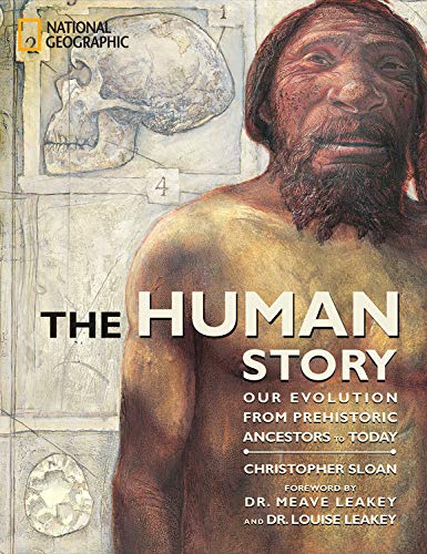 Beispielbild fr The Human Story: Our Evolution from Prehistoric Ancestors to Today zum Verkauf von Gulf Coast Books