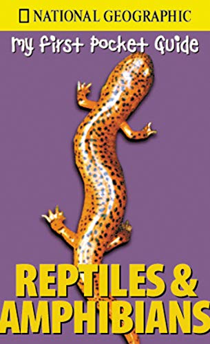 Stock image for My First Pocket Guide Reptiles and Amphibians for sale by Better World Books