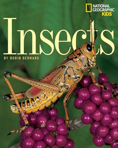 Beispielbild fr Insects zum Verkauf von SecondSale