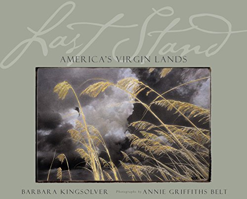 Imagen de archivo de Last Stand: America's Virgin Lands a la venta por Bearly Read Books