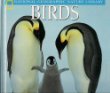 Stock image for Birds (National Geographic Nature Library) for sale by BookHolders