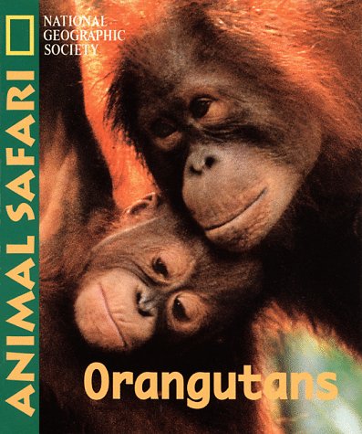 Stock image for Animal Safari-Orangatangs for sale by 2Vbooks