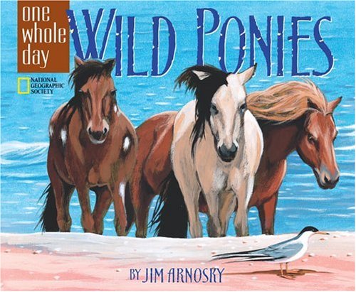 Stock image for Wild Ponies: A One Whole Day Book for sale by Books of the Smoky Mountains