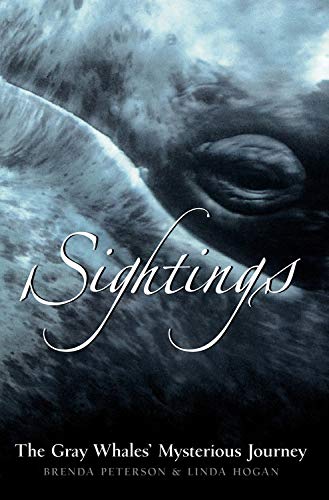 Beispielbild fr Sightings: The Gray Whales' Mysterious Journey (Adventure Press) zum Verkauf von Wonder Book