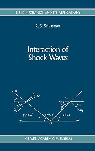 9780792329206: Interaction of Shock Waves: 22