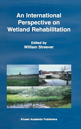 9780792357247: An International Perspective on Wetland Rehabilitation