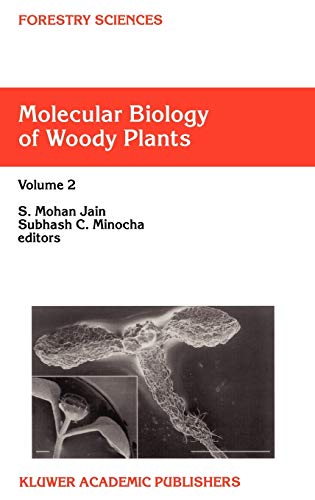 9780792362418: Molecular Biology of Woody Plants: Volume 2: 66 (Forestry Sciences, 66)