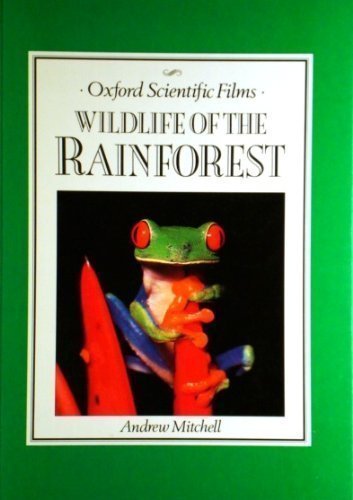 Imagen de archivo de Wildlife of the Rain Forest - O.S.F - a la venta por ThriftBooks-Dallas