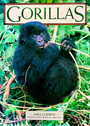 Beispielbild fr Gorillas zum Verkauf von HPB-Ruby