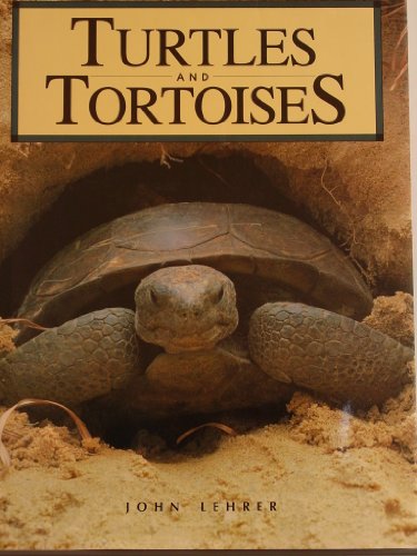 Imagen de archivo de Turtles and Tortoises a la venta por SecondSale