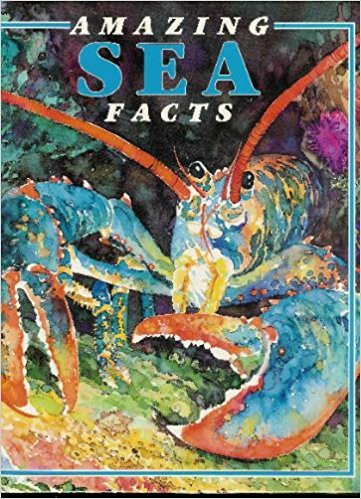Beispielbild fr Amazing Sea Facts zum Verkauf von Wonder Book