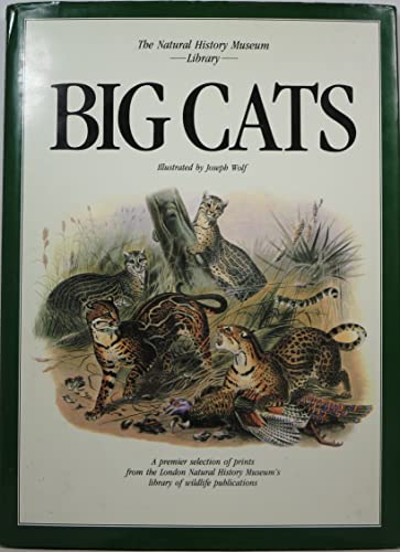 Beispielbild fr Big Cats: The Natural History Collection zum Verkauf von ThriftBooks-Atlanta