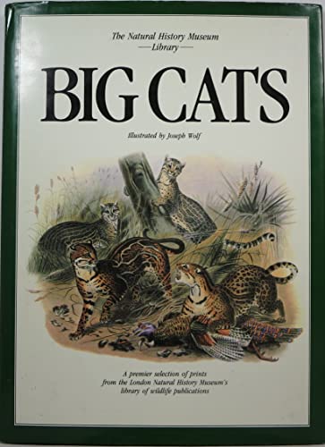 Imagen de archivo de Big Cats: The Natural History Collection a la venta por ThriftBooks-Atlanta