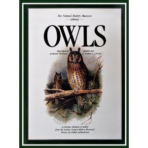 Imagen de archivo de Owls (The Natural History Museum Library) a la venta por Gulf Coast Books