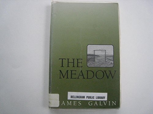 9780792715696: The Meadow (Curley Large Print Books)
