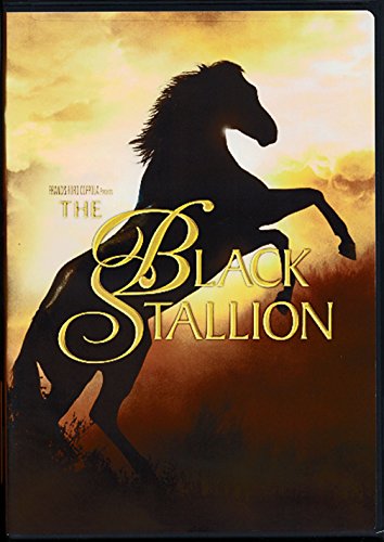 Stock image for Black Stallion, The for sale by Dream Books Co.