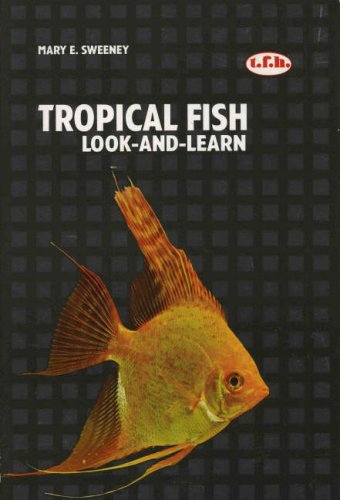 Beispielbild fr A Basic Book of Tropical Fish (Look-And-Learn) zum Verkauf von Wonder Book